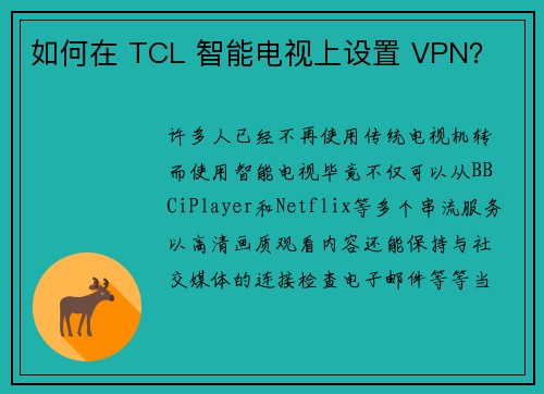 如何在 TCL 智能电视上设置 VPN？