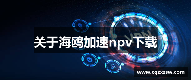关于海鸥加速npv下载