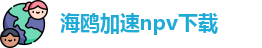 海鸥加速npv下载